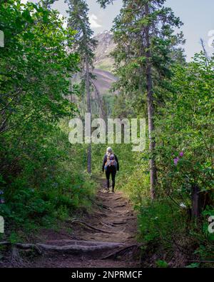 Atemberaubende Wanderung über den Kathleen Lake in Haines Junction, Yukon Territory, Kanada. Schöner Sommertag in Kanada. Stockfoto