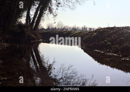 Ein Wasserstrom, der an einem sonnigen Wintertag in der italienischen Landschaft von einem Wald neben einem Kulturfeld umgeben ist Stockfoto