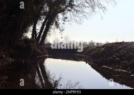 Ein Wasserstrom, der an einem sonnigen Wintertag in der italienischen Landschaft von einem Wald neben einem Kulturfeld umgeben ist Stockfoto