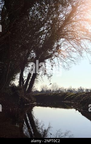 Ein Wasserstrom, der an einem sonnigen Wintertag in der italienischen Landschaft von einem Wald neben einem Kulturfeld umgeben ist Stockfoto