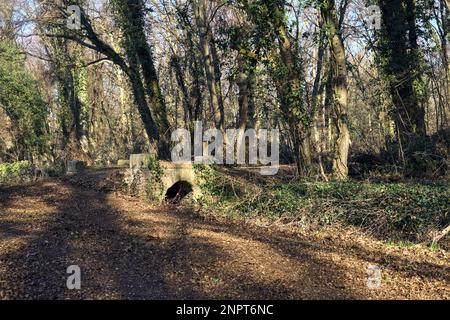 Überqueren Sie an einem Wintertag einen Pfad in einem Park über eine alte Ziegelsteintreppe neben einem winzigen trockenen Kanal in einem Wald Stockfoto