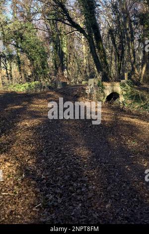 Überqueren Sie an einem Wintertag einen Pfad in einem Park über eine alte Ziegelsteintreppe neben einem winzigen trockenen Kanal in einem Wald Stockfoto