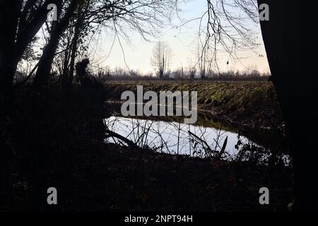 Ein Wasserstrom, der an einem sonnigen Wintertag in der italienischen Landschaft von einem Wald neben einem Kulturfeld umgeben ist Stockfoto