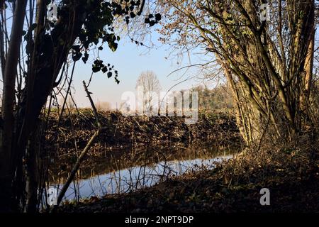 Ein Wasserstrom, der an einem sonnigen Wintertag in der italienischen Landschaft von einem Wald neben einem Kulturfeld umgeben ist Stockfoto