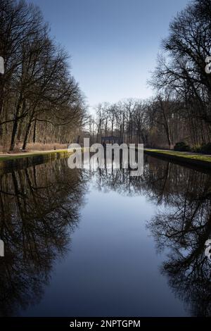 Blick auf den Reflexionspool im „Het Stad's“ Park in Aalst, Ostflandern, Belgien. Wunderschöne Reflexionen der umliegenden Bäume im stillen Wasser Stockfoto