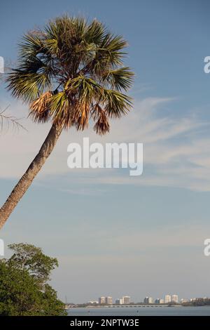 Indian River Park in Jensen Beach, Florida Stockfoto