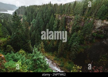 Brandywine Falls Provincial Park: Wasserfall mit wunderschönen Bäumen in Westkanada Stockfoto