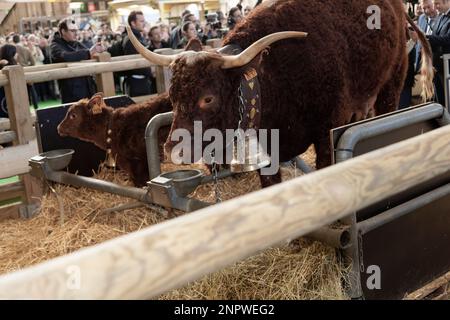 Paris, Frankreich. In Frankreich 25. Februar 2023.der französische Präsident Emmanuel Macron eröffnet die 59. International Agricultural Show in Paris in Frankreich Stockfoto