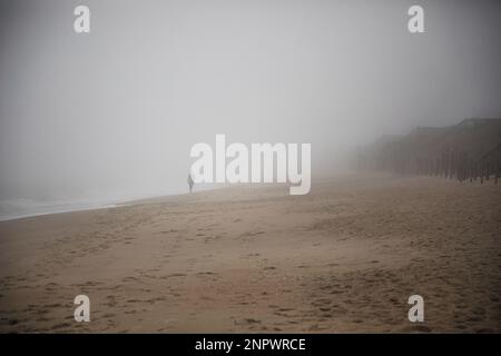 Unheilvoller Foggy Beach im Spätwinter Stockfoto