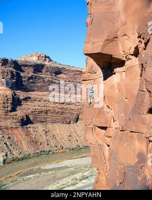 Ein erwachsener männlicher Kletterer steigt eine Klippe über dem Colorado River, Utah, hinauf. Stockfoto
