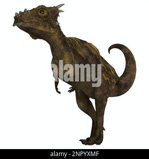 Dracorex war ein pflanzenfressender Pachycephalosaurus Dinosaurus, der in der Kreidezeit Nordamerikas lebte. Stockfoto