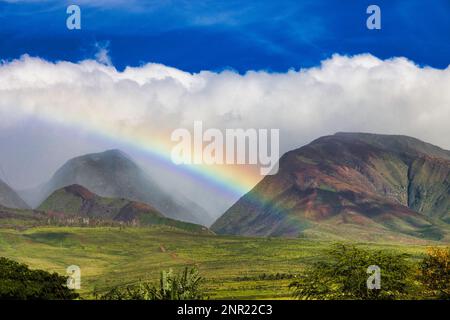 Schöner tief hängender Regenbogen über den westlichen maui Bergen. Stockfoto