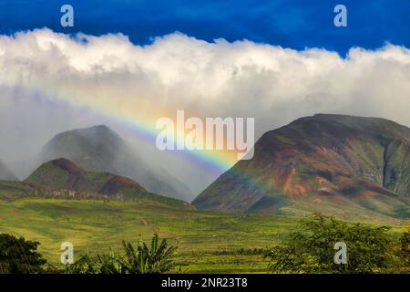 Wiese führt zu den Bergen im Westen von maui mit einem wunderschönen Regenbogen. Stockfoto