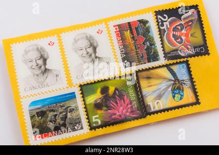 Verschiedene kanadische Briefmarken auf einem gelben Briefumschlag aus Versandpapier. Stockfoto
