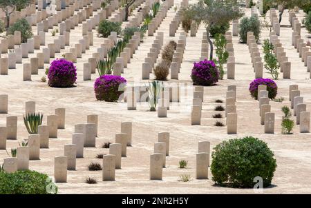 Commonwealth-Kriegsgräber auf dem El Alamein-Friedhof im Norden Ägyptens. Der Friedhof beherbergt die Gräber der Commonwealth-Soldaten. Stockfoto