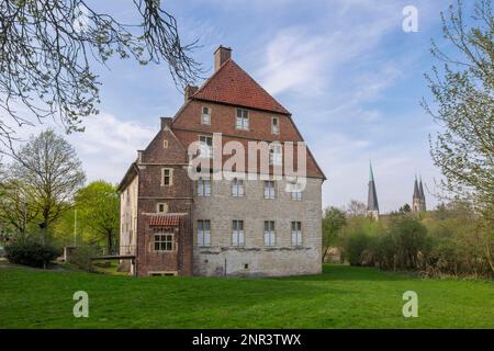 Kolvenburg, Billerbeck Stockfoto