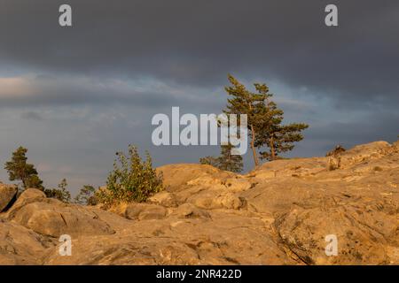 Herbstlichtstimmung im Teufelsmauer im Harzgebirge Stockfoto