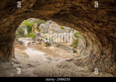 Herbstlichtstimmung im Teufelsmauer im Harzgebirge Stockfoto