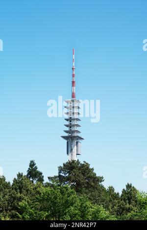 Baumkrone Blick auf Telekommunikation Turm für Fernsehen und Radio Übertragung Stockfoto