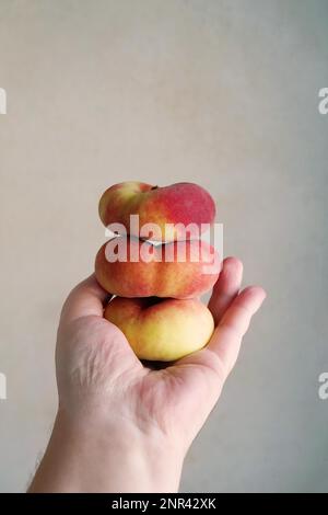 Männliche Hand hält einen Stapel flacher Pfirsiche, auch bekannt als saturn Donut oder Donut-Pfirsich Stockfoto