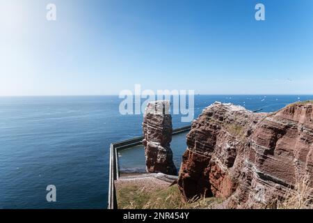 Hoher See stack Lange Anna auf der Insel Helgoland, Deutschland durch fliegende Vögel auf sonnigen Sommertag umgeben Stockfoto