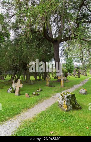 Schotterpfad durch den Friedhof mit alten Grabmarkierungen und Kreuzen bedeckt mit Moos und Flechten in den gotischen Ruinen von Pirita, Tallinn, Estland. Stockfoto