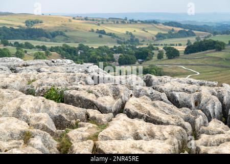 Blick auf die Kalkstein Pflaster über Malham Cove in den Yorkshire Dales National Park Stockfoto