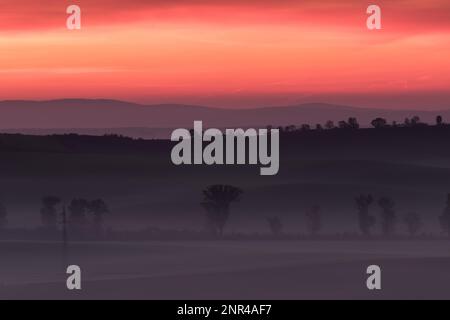 Wunderschöne mährische Felder mit Alleen von Bäumen, die von Morgennebel umgeben sind. Tschechische republik, Mährisch, Tschechische republik Stockfoto