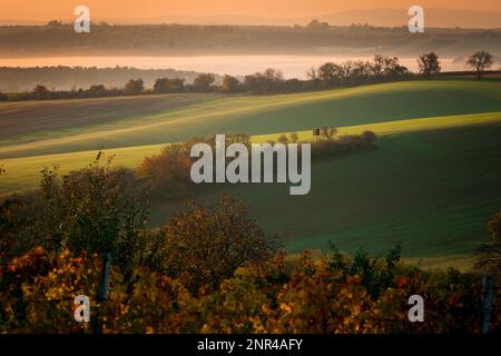Ein wunderbarer Morgen auf den mährischen Feldern im Herbst. Schöne Farben. Tschechische republik, Mährisch, Tschechische republik Stockfoto