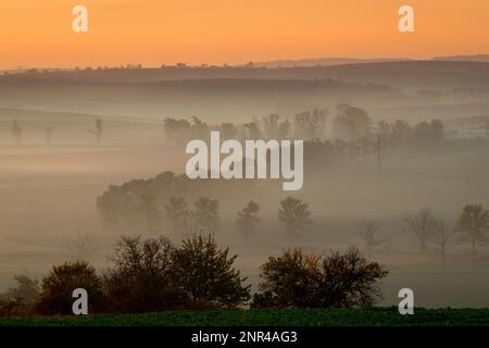 Wunderschöne mährische Felder mit Alleen von Bäumen, die von Morgennebel umgeben sind. Tschechische republik, Mährisch, Tschechische republik Stockfoto