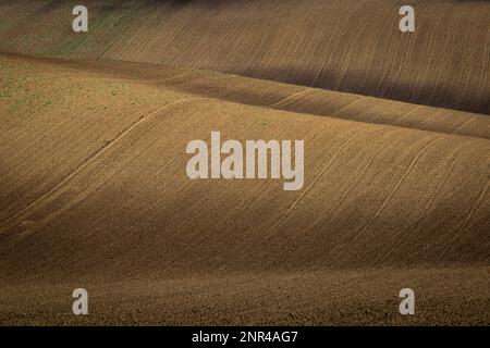 Wunderschöne raue Landschaft mit gepflügten mährischen Feldern in der Herbstsaison. Tschechische republik, Mährisch, Tschechische republik Stockfoto