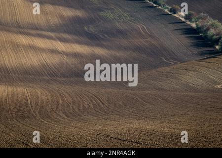 Wunderschöne raue Landschaft mit gepflügten mährischen Feldern in der Herbstsaison. Tschechische republik, Mährisch, Tschechische republik Stockfoto