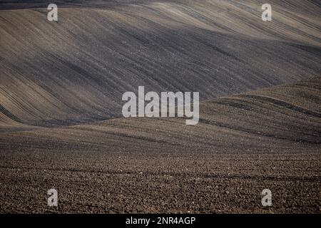 Wunderschöne raue Landschaft mit gepflügten mährischen Feldern in der Herbstsaison. Tschechische republik, Mährisch, Tschechische republik Stockfoto