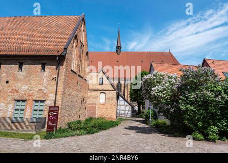 Kulturhistorisches Museum, Universitätskirche, Kloster Des Heiligen Kreuzes, Rostock, Mecklenburg-Vorpommern, Deutschland Stockfoto