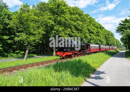 Dampfeisenbahn, Molli, Schmalspurbahn, Eisenbahn, Kuehlungsborn, Mecklenburg-Vorpommern Stockfoto