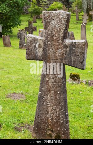 Moos und Flechten bedeckten Stein kreuzen sich auf dem Grab auf dem Friedhof in den gotischen Ruinen des Pirita Klosters, das St. Bridget, Tallinn, Estland gewidmet ist. Stockfoto