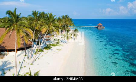 Malediven Insel Filaidhoo, Strand, Lagune, Palmen, Kokospalmen (Cocos nucifera), Raa Atoll, Filaidhoo, Malediven Stockfoto