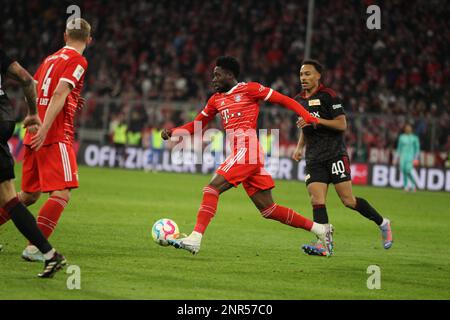 MÜNCHEN, Deutschland. , . 19, Alphonso Davies von FcBayern während des Bundesliga Fußballspiels zwischen dem FC Bayern Muenchen und dem FC Union Berlin in der Allianz Arena in München am 26. Februar 2023. DFL, Fussball, 3:0 (Foto und Copyright @ ATP images/Arthur THILL (THILL Arthur/ATP/SPP) Kredit: SPP Sport Press Photo. Alamy Live News Stockfoto