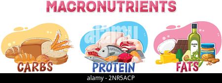 Macronutrients diagram with food ingredients illustration Stock Vektor