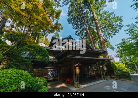 Yunoshimakan, ein traditionelles Ryokan Inn in den Bergen über Gero Onsen. Das 3-stöckige Holzgebäude stammt aus dem Jahr 1931. Stockfoto