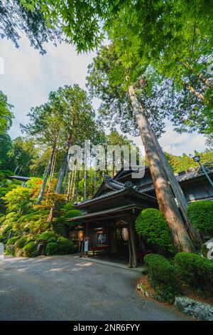 Yunoshimakan, ein traditionelles Ryokan Inn in den Bergen über Gero Onsen. Das 3-stöckige Holzgebäude stammt aus dem Jahr 1931. Stockfoto