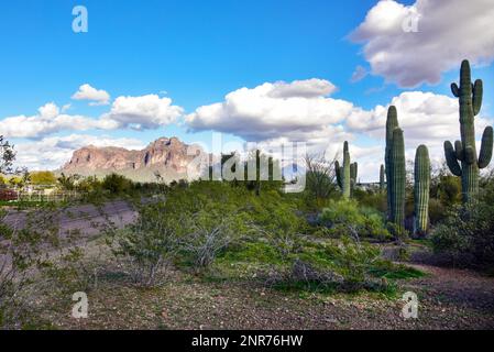 Die Landschaft der Superstition Mountain Range in der Nähe von Apache Junction, Arizona. Stockfoto