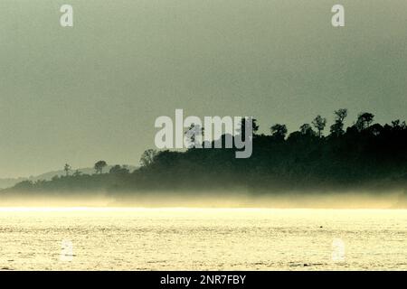 Blick auf den Tieflandregenwald des Tangkoko Nature Reserve, North Sulawesi, Indonesien. Vom angrenzenden Strand Batuputih im Dorf Batuputih (Batu Putih) aus gesehen ist die Landschaft Teil von Indonesiens 94,1 Millionen Hektar Regenwald insgesamt, der laut Weltbank der drittgrößte tropische Regenwald der Welt ist. Aus Daten der Internationalen Union für Naturschutz (IUCN) geht hervor, dass rund 81 % der wichtigsten Biodiversitätsgebiete der Welt nicht vollständig durch Schutzgebiete abgedeckt sind. Stockfoto