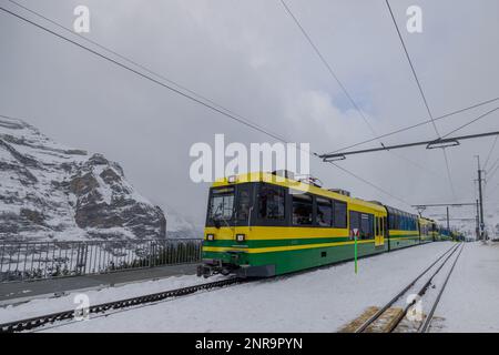 Die Zahnradbahn mit schmalem Spurwinkel hielt im Winter am Wengen-Wald-Bahnhof von Wengernalp an. Spuren voller Schnee. Stockfoto