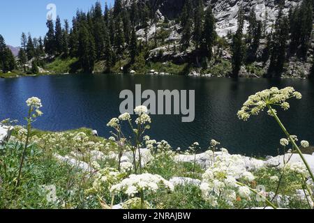 Wunderschöner Bergsee in der Trinity Alp Wilderness, umgeben von Granitgipfeln. Stockfoto