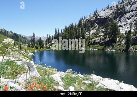 Wunderschöner Bergsee in der Trinity Alp Wilderness, umgeben von Granitgipfeln. Stockfoto