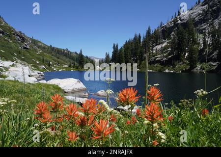 Wunderschöner Bergsee in der Trinity Alp Wilderness, umgeben von Granitgipfeln. Stockfoto