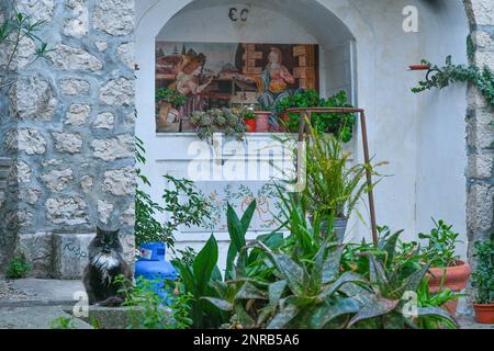 Eine Katze in einer Straße von Pietravairano, einer ländlichen Stadt in der Provinz Caserta, Italien. Stockfoto