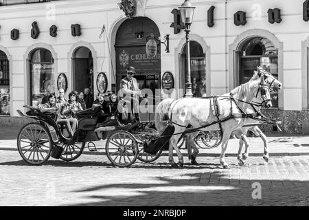 Wien, Österreich - 24. April 2015: Innenstadt Blick auf die Straße, Menschen zu Fuß und Fiaker mit weißen Pferden in Wien, Österreich Stockfoto