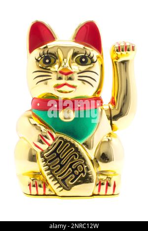 Gold Maneki Neko verlockende Katze auf weißem Hintergrund Stockfoto